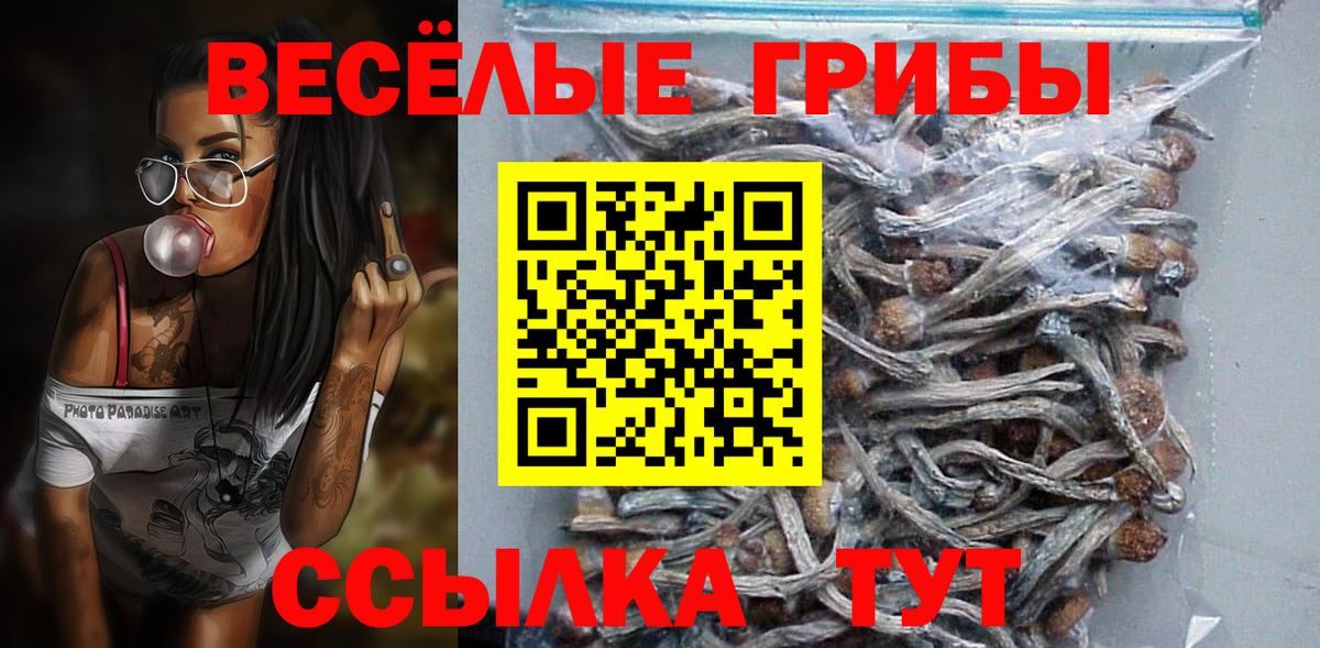 Сертолово  Псилоцибиновые грибы Psilocybe  Галлюциногенные грибы GOLDEN TEACHER  Вход с VPN 